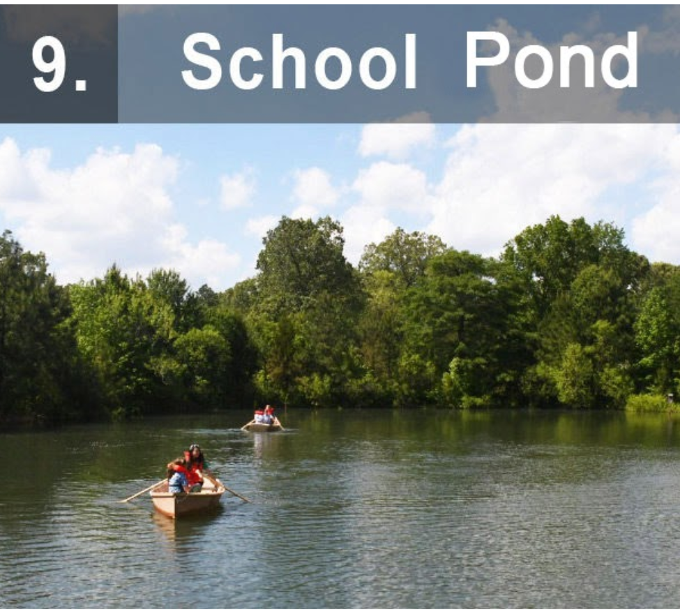 School Pond