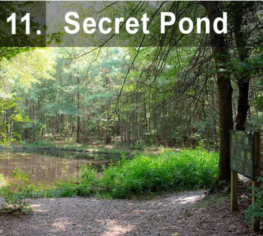 Secret Pond
